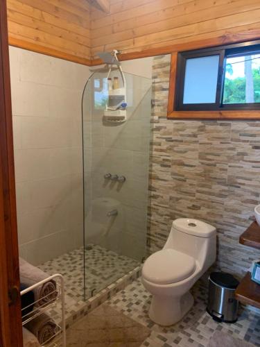 乌维塔Pura Vida Cabinita的一间带卫生间和玻璃淋浴间的浴室