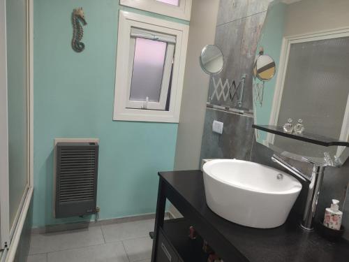 乌斯怀亚Alem Casa de Familia的浴室设有白色水槽和镜子