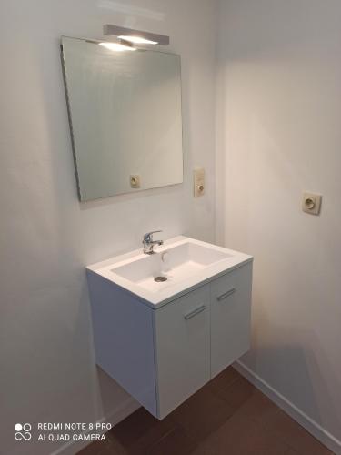 让布卢Loft cosi à proximité du centre géographique Belge的浴室设有白色水槽和镜子