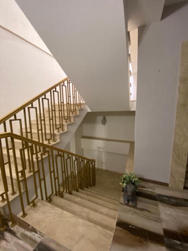 库塔伊西Hotel Rustaveli的一座种植盆栽植物的建筑中的楼梯