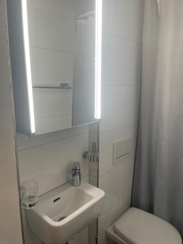 苏黎世Hechtplatz Hotel - Self Check-in的一间带水槽、卫生间和镜子的浴室