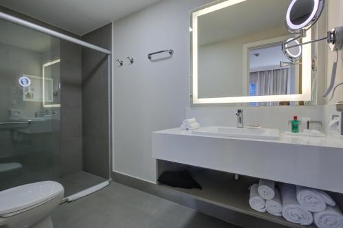 圣保罗Park Inn by Radisson Berrini的带淋浴、盥洗盆和卫生间的浴室