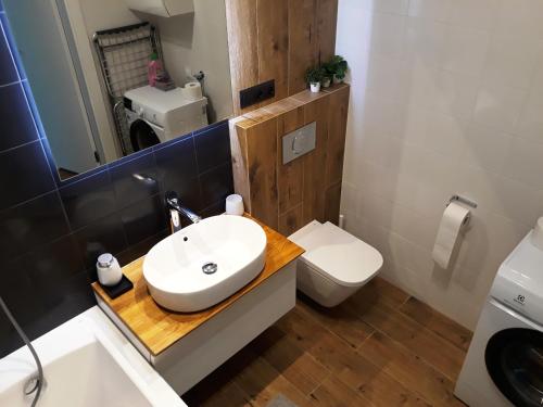 热舒夫Apartament Projektant的一间带水槽和卫生间的浴室