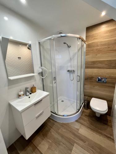 布拉涅沃Hotel i Restauracja „KRISTAL”的带淋浴、盥洗盆和卫生间的浴室