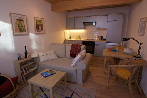 奥茨塔尔Apartment Amberg的带沙发的客厅和厨房