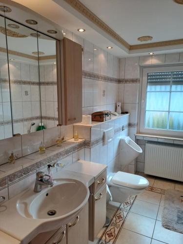 皮特林根Ferienwohnung Schleiten的一间带水槽、卫生间和镜子的浴室