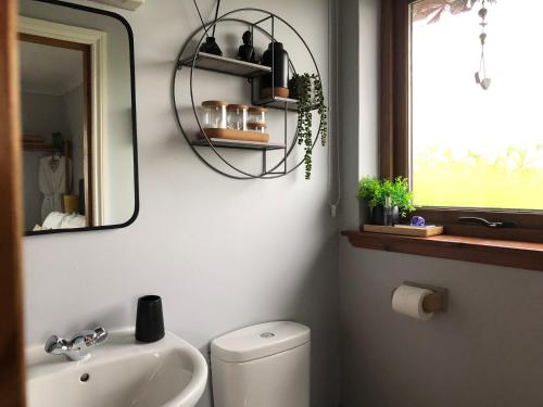 OseAurora的一间带水槽、卫生间和镜子的浴室
