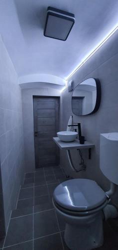 蒂米什瓦拉CBT Apartament的一间带卫生间、水槽和镜子的浴室