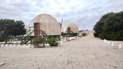 巴伊亚英格莱萨Camping Las Machas的沙漠中间有一条土路的两个圆顶