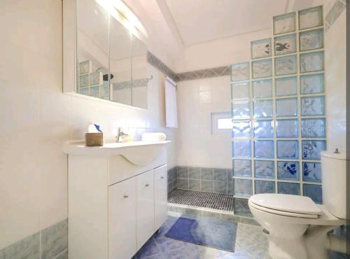 VagiaV.A.G.I.A. HOUSE的白色的浴室设有卫生间和水槽。