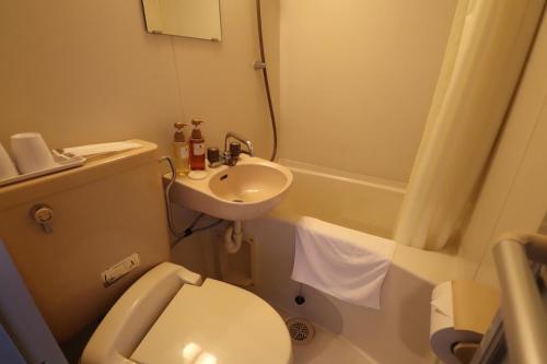 一宫市HOTEL THE GARDEN Ⅵ ICHINOMIYA的一间带卫生间和水槽的小浴室