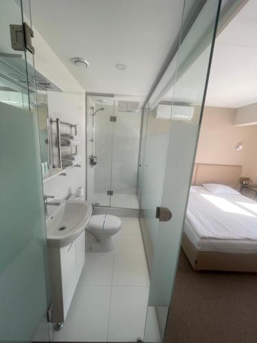 敖德萨Boutique Hotel Dacha Lanzheron的一间带水槽和卫生间的浴室以及一张床
