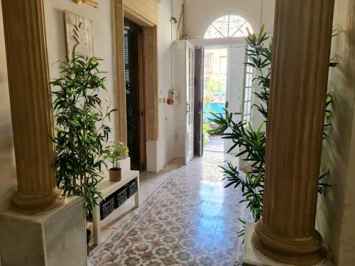 斯利马Hostel On的走廊上设有柱子和盆栽植物