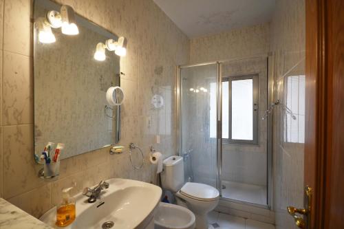 厄尔·布尔戈·德·奥斯马La casa de El Burgo的一间带水槽、卫生间和淋浴的浴室