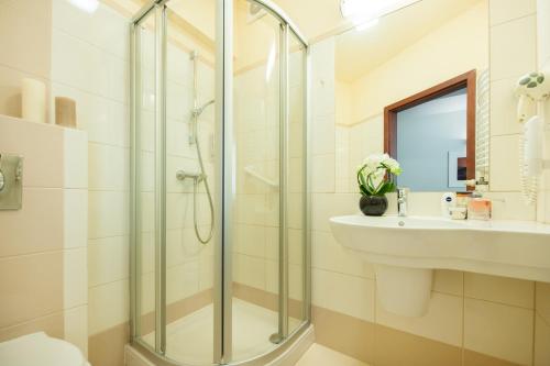科沃布热格伊卡尔广场酒店的带淋浴和盥洗盆的浴室