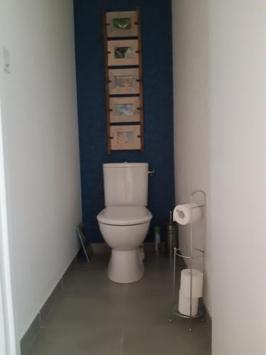 布吕兹Kerlann Bruz的浴室设有蓝色墙壁上的白色卫生间
