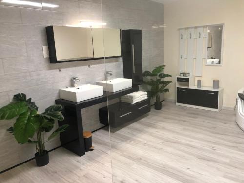 萨尔拉拉卡内达圣阿尔伯特酒店的浴室设有2个水槽和镜子