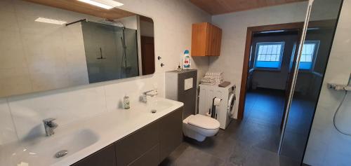 哈尔施塔特Ferienwohnung Brader的一间带水槽、卫生间和淋浴的浴室