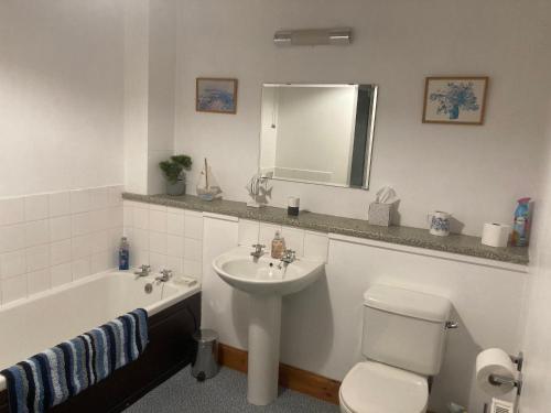 爱丁堡Midkinleith Farm Holiday Cottage的浴室配有盥洗盆、卫生间和浴缸。