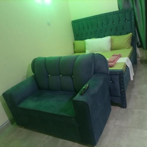 姆特瓦帕La Grande cosy studio apartment的一张沙发,位于一个绿色沙发的房间