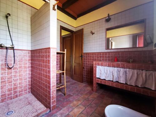 CarcabueyCasa Rural El Tejar Viejo的带淋浴、盥洗盆和镜子的浴室