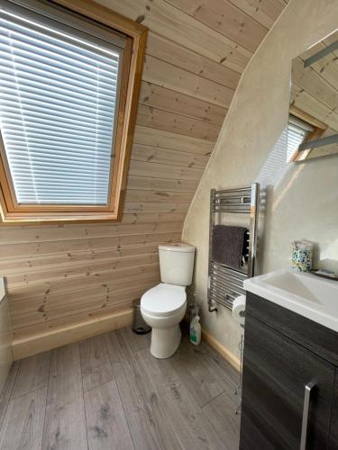 LeightonRabbit Glamping Pod School House Farm的一间带卫生间、水槽和窗户的浴室