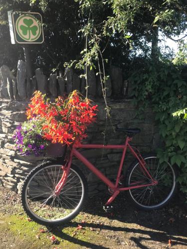 Dún LuáinBlackrath Farmhouse的一辆红色自行车停在石墙旁边,墙上挂着鲜花