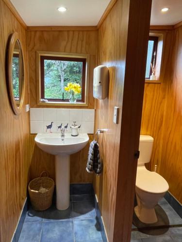 Kenepuru Sounds霍普韦尔山林小屋的一间带水槽和卫生间的浴室