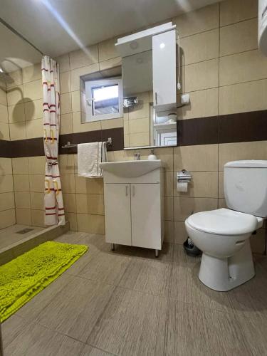 克拉多沃Pro arte的一间带卫生间和水槽的浴室
