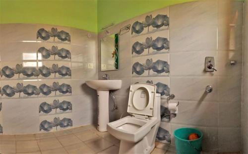 Karzok GömpaTsomoriri Hotel Lake View的一间带卫生间和水槽的浴室