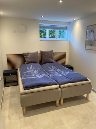 奥尔堡Tyge Brahes vej 33的一间卧室配有一张带蓝色床单的床和一扇窗户。