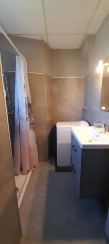 ChassiersLa Grangette du Mas的一间带水槽和淋浴的小浴室
