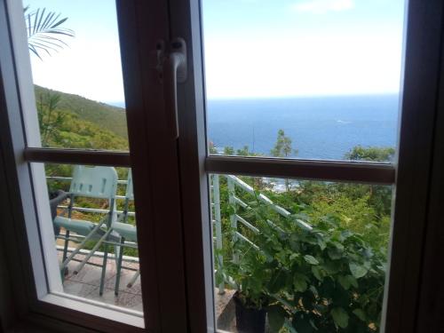 Tortola IslandAbigail's Splendor -2 Bedroom Entire Apartment的从窗户可欣赏到海景