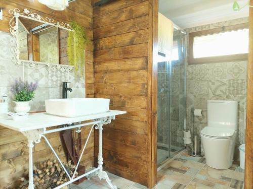 博阿迪利亚德尔蒙特Casa Solis Monteprincipe的一间带水槽、卫生间和镜子的浴室