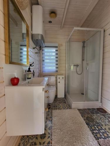 盖奇瓦乌德Domek 105的带淋浴、盥洗盆和卫生间的浴室