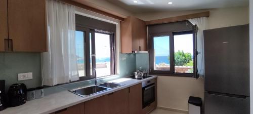 法拉萨纳Romantica Apartments的带两个水槽和两个窗户的厨房