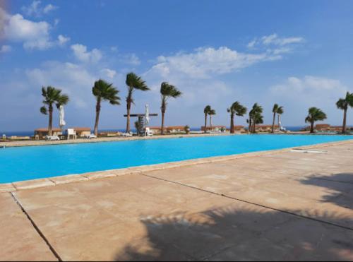 艾因苏赫纳Telal Ain Sokhna Villa的一座棕榈树环绕的大型游泳池