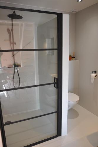 NieuwlandB&B Sonnehuys的带卫生间的浴室内的玻璃淋浴间