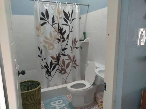 San Vicentelee's home2的一间带卫生间和淋浴帘的浴室