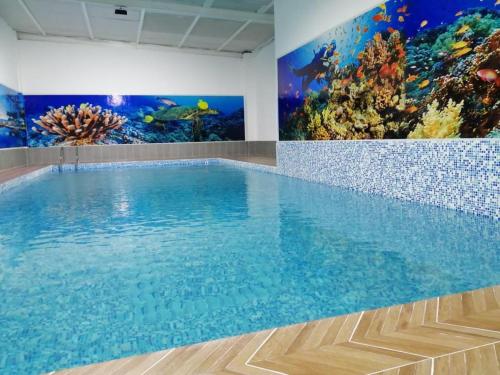 Campاستراحة نادي اورجان Orjan Guest House的一个带水族馆的房间的大型游泳池