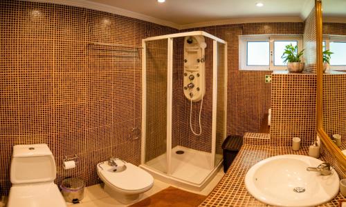 马尔科-德卡纳维泽斯Villa Casa de Santo Antonio的浴室配有卫生间、淋浴和盥洗盆。