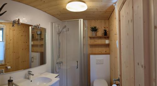LangenbachRuhiges Ferienhaus am Waldrand mit Sauna und Kamin的带淋浴、盥洗盆和镜子的浴室