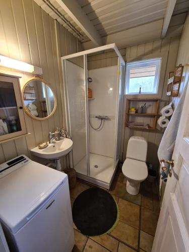 阿克拉内斯Cozy Cottage in Icelandic nature with Hot tub的带淋浴、卫生间和盥洗盆的浴室