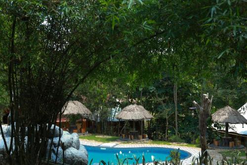 ChegātPugmarks Jungle Lodge的一个带灵气伞的游泳池和一个度假村