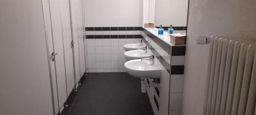 克罗伊茨林根克罗伊茨林根青年旅舍的浴室设有三个水槽和一排卫生间