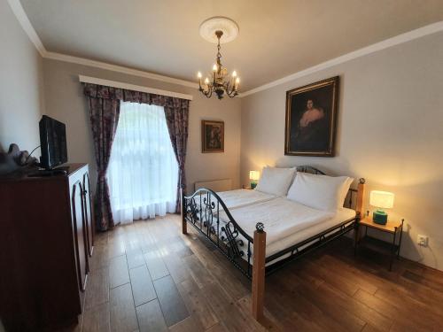 新比斯特日采派思拉可乐思妮酒店的一间卧室配有一张床和一个吊灯