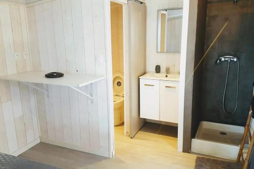 Le LambertStudio Airbn'Beer的带淋浴和盥洗盆的小浴室