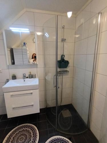 特罗姆瑟Olgas apartment的带淋浴和盥洗盆的浴室
