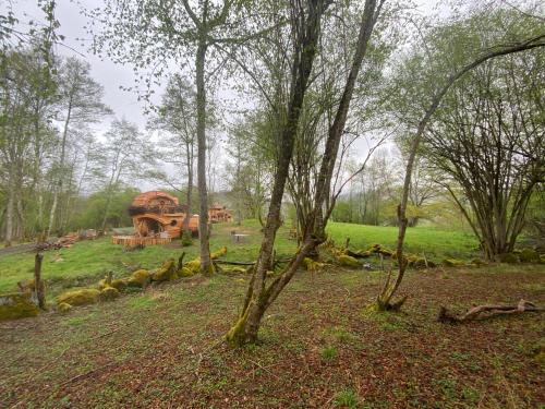CazarilhLes Cabanes De Pyrene的树木林立的田野中的房子