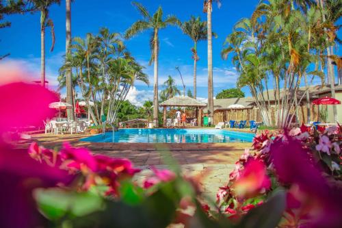 卡达斯诺瓦斯Caldas Park & Hotel Caldas Novas的棕榈树和粉红色鲜花度假村的游泳池